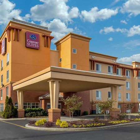 Comfort Suites Seaford Extérieur photo